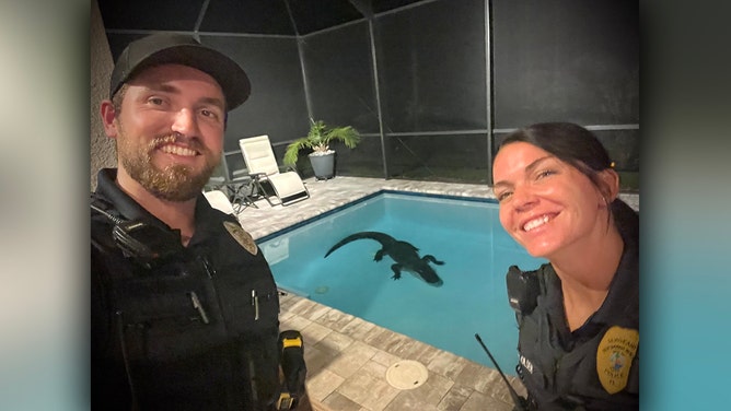 A 10-foot alligator was caught making himself at home inside the pool of a home in New Smyrna Beach, according to police.