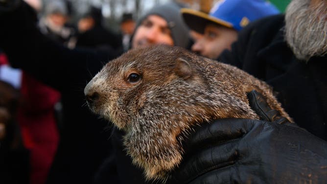 Crowds Gather To See Punxsutawney Phil On Groundhog Day In Pennsylvania