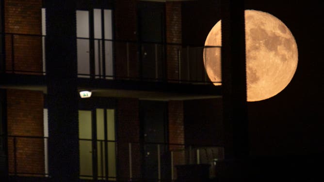 Close-up of the June full moon, nicknamed as Strawberry moon, as seen rising over residential area near the Dutch city of Eindhoven, between buildings and street lights.