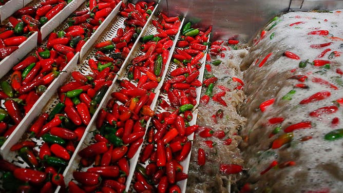 Inside A Huy Fong Foods Inc. Sriracha Production Facility