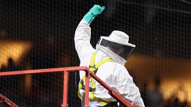 Beekeeper Matt Hilton reacts to fans after removing a colony of bees that formed on the net behind home plate during a delay to the MLB game between the Los Angeles Dodgers and the Arizona Diamondbacks at Chase Field on April 30, 2024 in Phoenix, Arizona.