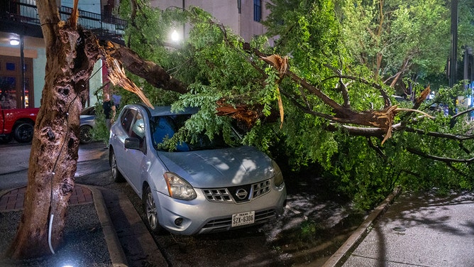 A car is visible under a fallen tree in downtown Houston on Prairie near Travis after severe storms moved through the area Thursday, May 16, 2024.