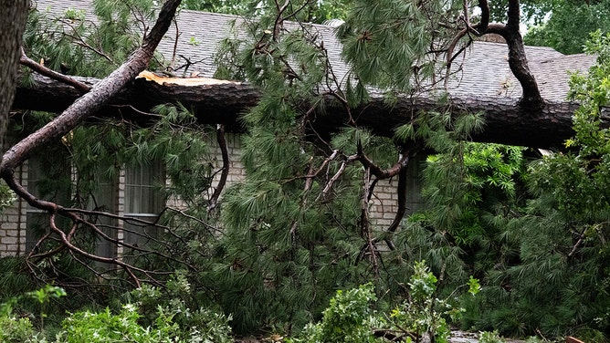 A large tree is seen after it fell on a home after heavy winds and rains ripped through the region, Thursday, May 16, 2024, in Houston.