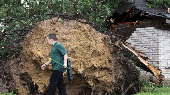 A boy walks past a large tree that fell on a home after heavy wind and rain ripped through the region Thursday, May 16, 2024, in Houston.