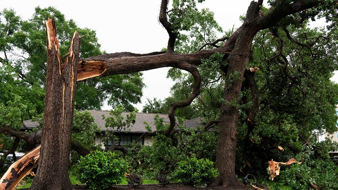 A large tree has fallen onto a car and part of a home after heavy winds and rains ripped through the region Thursday, May 16, 2024, in Houston.