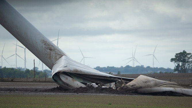 Damage and several deaths were reported in Greenfield, Iowa, on Tuesday after a large and violent tornado struck the town located about 60 miles southwest of Des Moines.