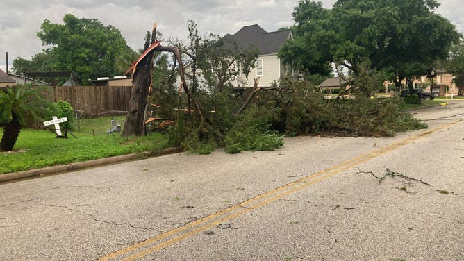 Tree damage in Katy, Texas during Thursday's severe storms