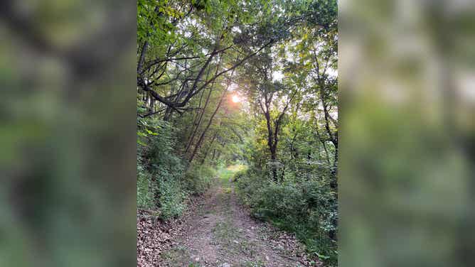 The Glamping Collective located in western North Carolina