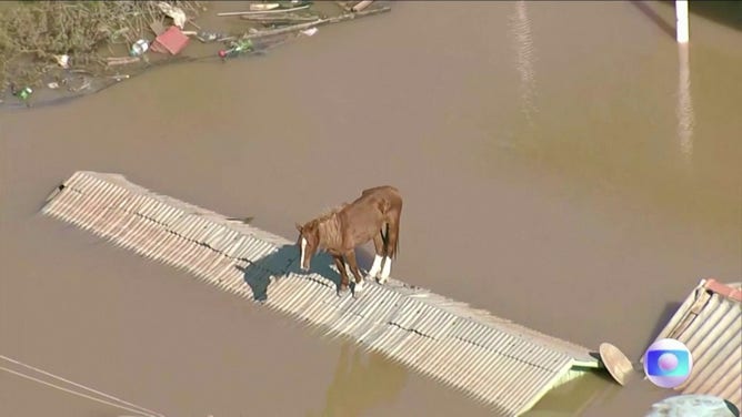 Rescuers saved a horse Thursday that had been stuck on a rooftop for two days in a southern Brazilian town which was severely flooded.