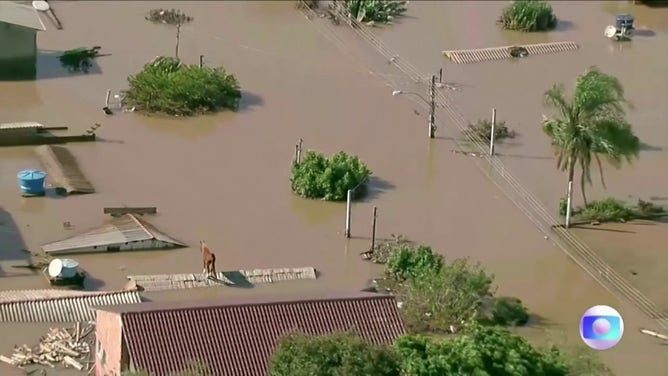 Rescuers saved a horse Thursday that had been stuck on a rooftop for two days in a southern Brazilian town which was severely flooded.