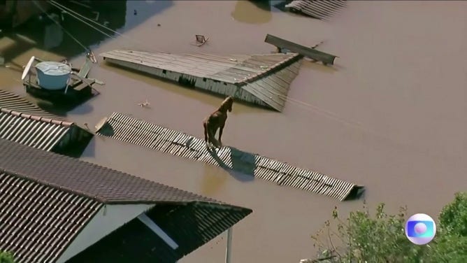 Rescuers saved a horse Thursday that had been stuck on a rooftop for two days in a southern Brazilian town which was severely flooded.