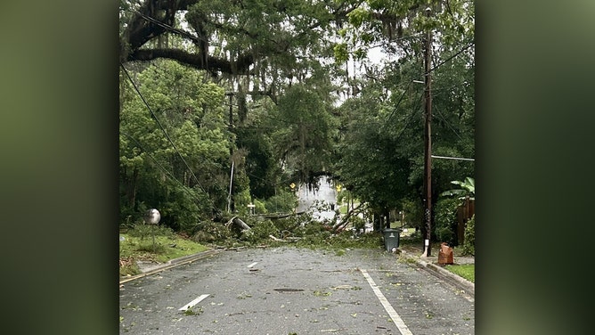 A squall line swept across the Florida Panhandle early Friday morning, triggering a variety of severe weather warnings. Storm damage is seen in Tallahassee.