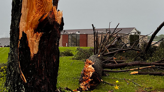 Large trees were uprooted in the vicinity of Russellville Intermediate School in Tennessee, causing roof damage to homes and the school itself, possibly due to a tornado.