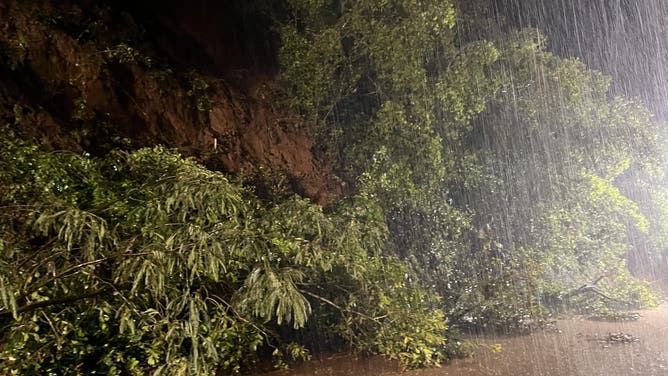 Flooding and mudslides in Hawaii