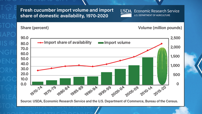 U.S. cucumber imports