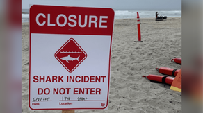 California shark attack forces closure of Del Mar beach after man receives significant injuries to torso, arm