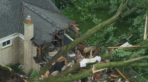 Toddler killed, mother injured as tornado topples tree onto Detroit-area home