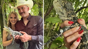 See what happens when a man proposes with an alligator