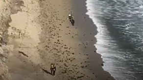 Kite surfer spells out word 'HELP' on a California beach