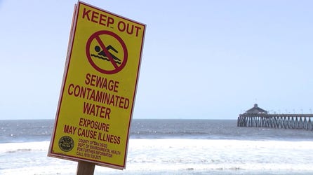 These are the 10 most bacteria-polluted beaches in America, group says