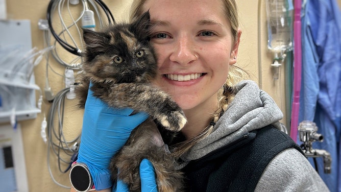 Cinder receives some love from Humane Society of Central Oregon Clinic Manager Bailey Shelton after surgery.