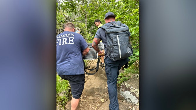 A dangerous mountaintop rescue was required for a dog in Connecticut after it was bitten by a venomous copperhead snake at Sleeping Giant State Park in Hamden on Wednesday.