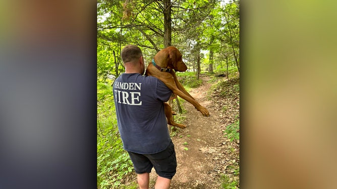 A dangerous mountaintop rescue was required for a dog in Connecticut after it was bitten by a venomous copperhead snake at Sleeping Giant State Park in Hamden on Wednesday.