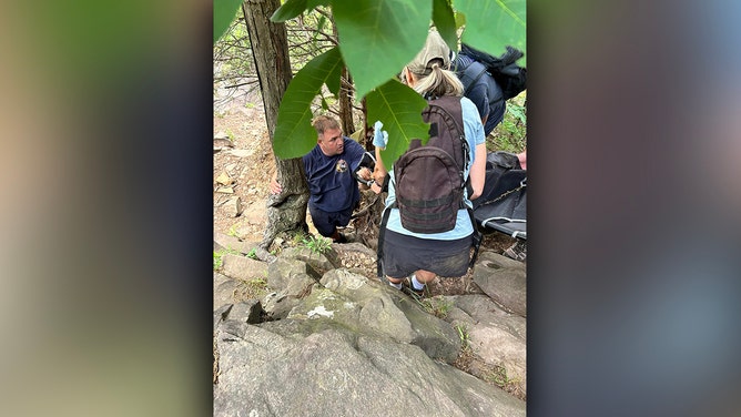A dangerous mountaintop rescue was required for a dog in Connecticut after it was bitten by a venomous copperhead snake at Sleeping Giant State Park in Hamden on Wednesday.