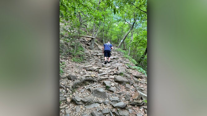 A dangerous mountaintop rescue was required for a dog in Connecticut after it was bitten by a venomous copperhead snake at Sleeping Giant State Park in Hamden on Wednesday.