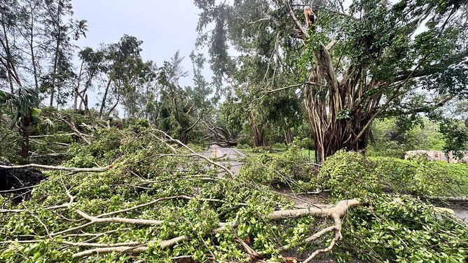 Portions of Jupiter Island were inaccessible after trees were knocked down by a possible tornado. Martin County Fire Rescue said it was working to clear the affected roads.