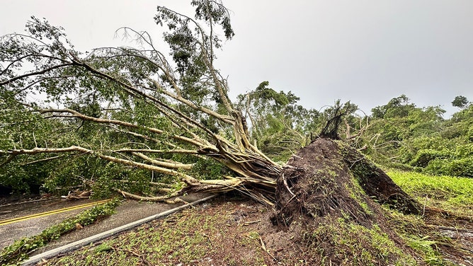 Portions of Jupiter Island were inaccessible after trees were knocked down by a possible tornado. Martin County Fire Rescue said it was working to clear the affected roads.
