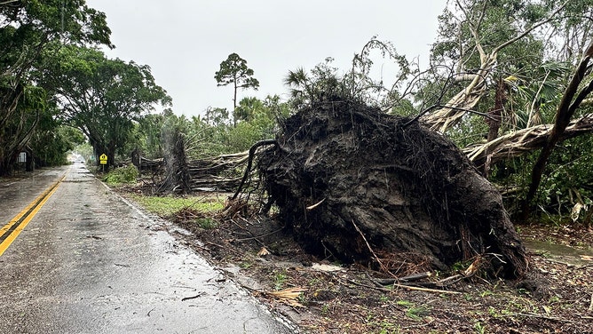 Portions of Jupiter Island were inaccessible after trees were knocked down by a possible tornado. Martin County Fire Rescue said it was working to clear the affected roads.