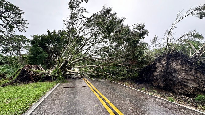 Portions of Jupiter Island were inaccessible after trees were knocked down by a possible tornado. Martin County Fire Rescue said it was working to clear the affected roads.