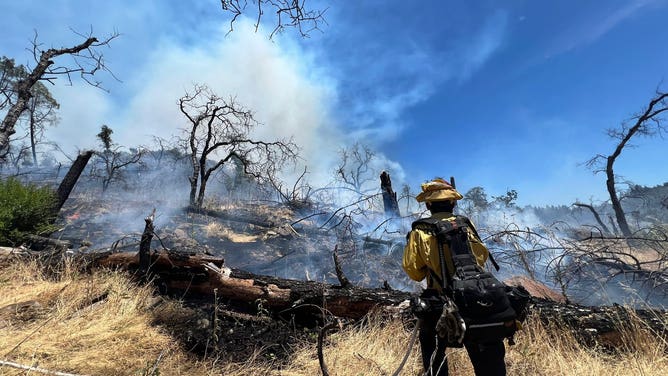 Crystal Fire burns in Napa Valley