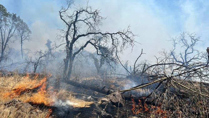 Crystal Fire burns in Napa Valley