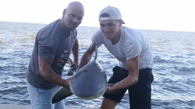 A shark with an apparent deformation, which wildlife officials revealed was a form of scoliosis or spinal deformity affecting the vertebral column, was found in Titusville, Florida, on June 3, 2024.