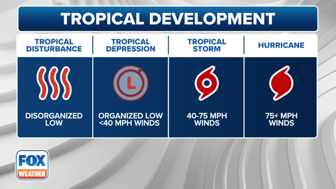 This graphic shows the stages of tropical development from a tropical disturbance to hurricane.