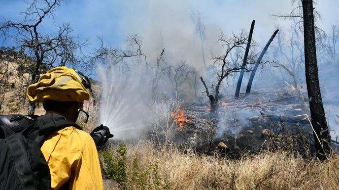 Crystal Fire burns in Napa Valley