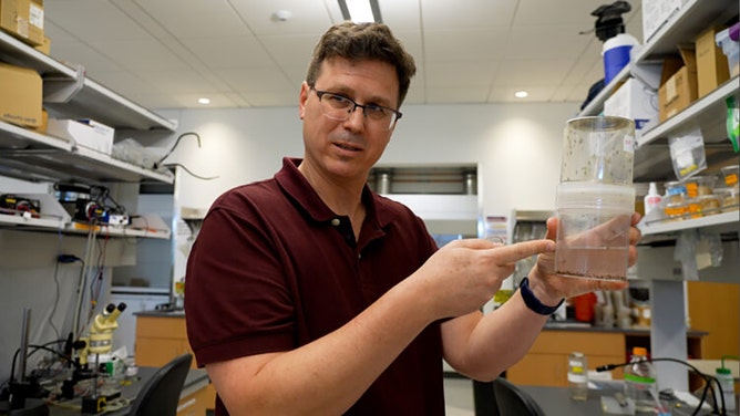 UW professor of biology Jeff Riffell.
