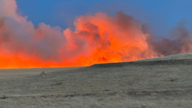 Bright orange flames from the Corral Fire can been seen near I-580 in Tracy, California on Saturday, June 1, 2024.