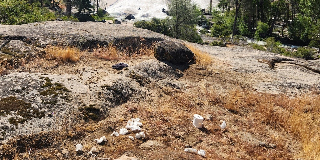 Yosemite National Park trashed with toilet paper? Rangers say it's