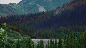 Alaska's Denali National Park to reopen Wednesday after firefighters regain wildfire containment