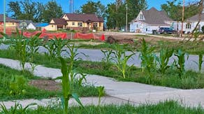 ‘Hope and regrowth’: Corn pops up around Greenfield after EF-4 tornado levels Iowa town