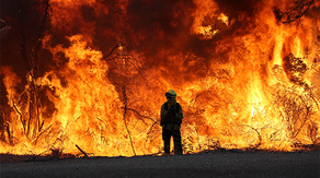 Dramatic photos of California’s Park Fire show heroic firefighters risking lives to extinguish historic blaze