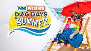 Watch 'Dog Days of Summer' from FOX Weather