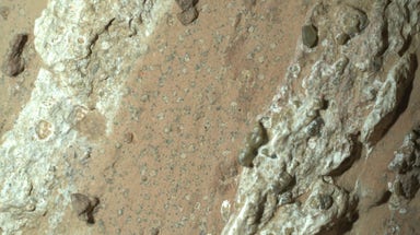 ‘Intriguing’ rock discovery on Mars shows possible indicators of ancient life