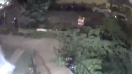 Watch: Tornado in Chicago rips down trees in neighborhood