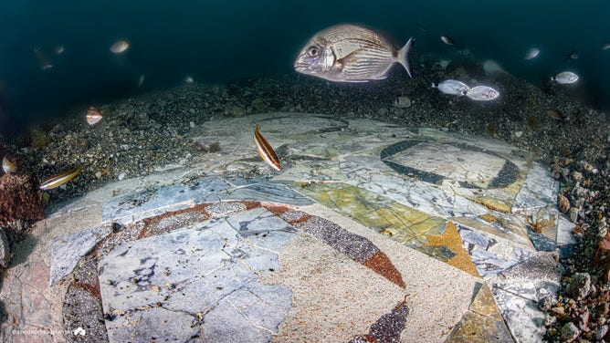 Fish swim over the mosaic. 