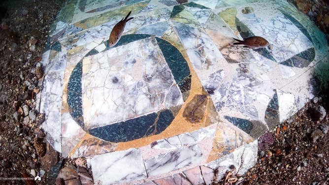 Fish swim over the mosaic.