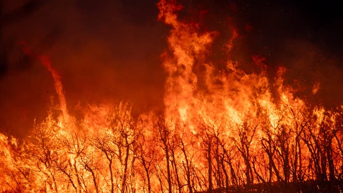 This image shows the intense flames from the Sandhurst Fire burning outside Salt Lake City on Saturday, July 20, 2024.